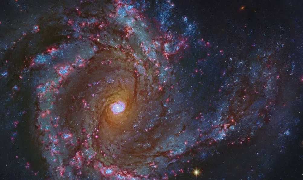 Does a Spiral Galaxy Hide a Mini-Spiral in Its Core? M61 Reveals Cosmic Nesting Dolls